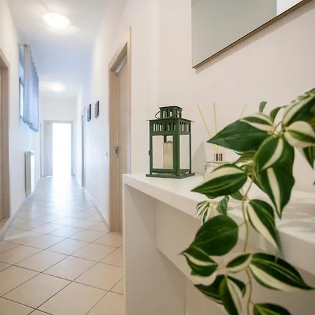 Appartement Casa Mia *